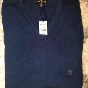 Express Men's V-Neck Sweater